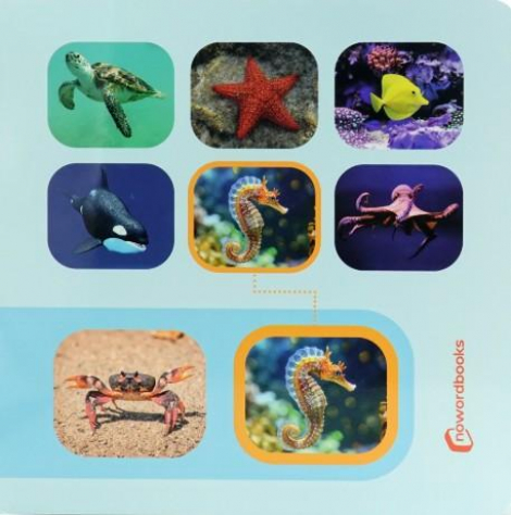 Animais Marinhos: pesquise e encontre