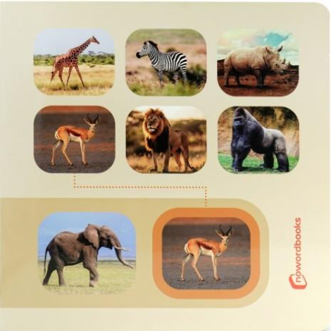 Animais Selvagens: pesquise e encontre