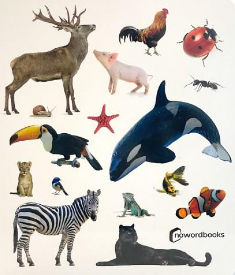 Animais!